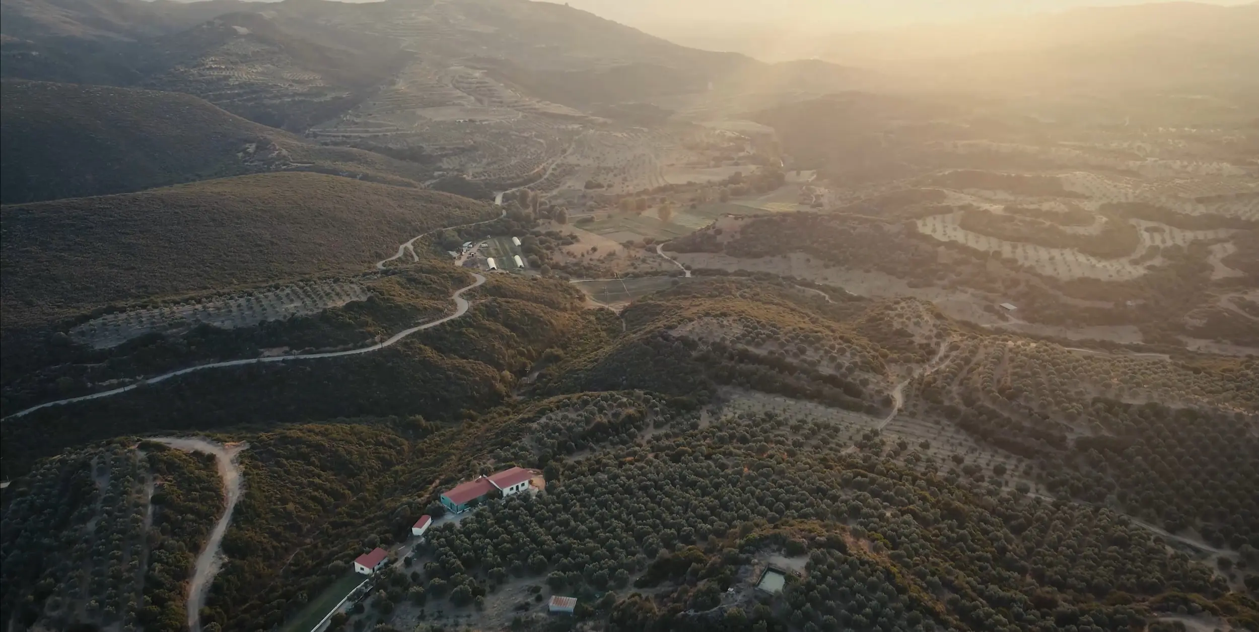 ktima screenshot 7