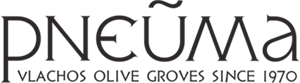 logo 300
